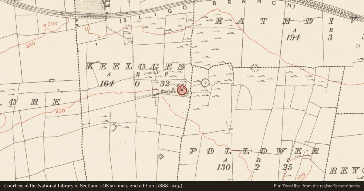 Ordnance Survey six-inch map, 2nd edition (1888–1915) covering the location of Ringfort - cashel, Keeloges, County Roscommon, with a pin at the register's coordinates