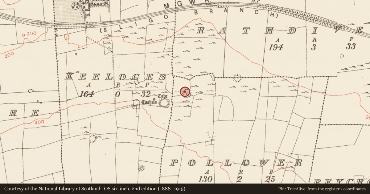 Ordnance Survey six-inch map, 2nd edition (1888–1915) covering the location of Ringfort - cashel, Pollower, County Roscommon, with a pin at the register's coordinates