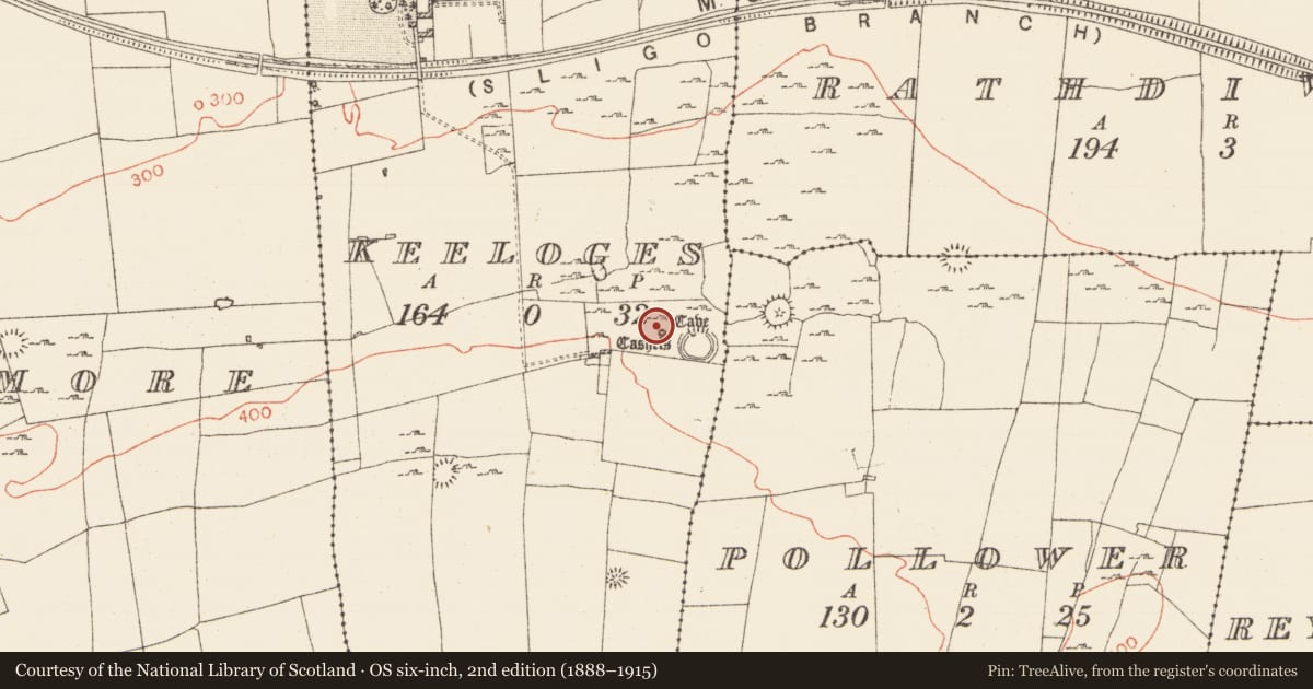 Ordnance Survey six-inch map, 2nd edition (1888–1915) covering the location of Hut site, Keeloges, County Roscommon, with a pin at the register's coordinates