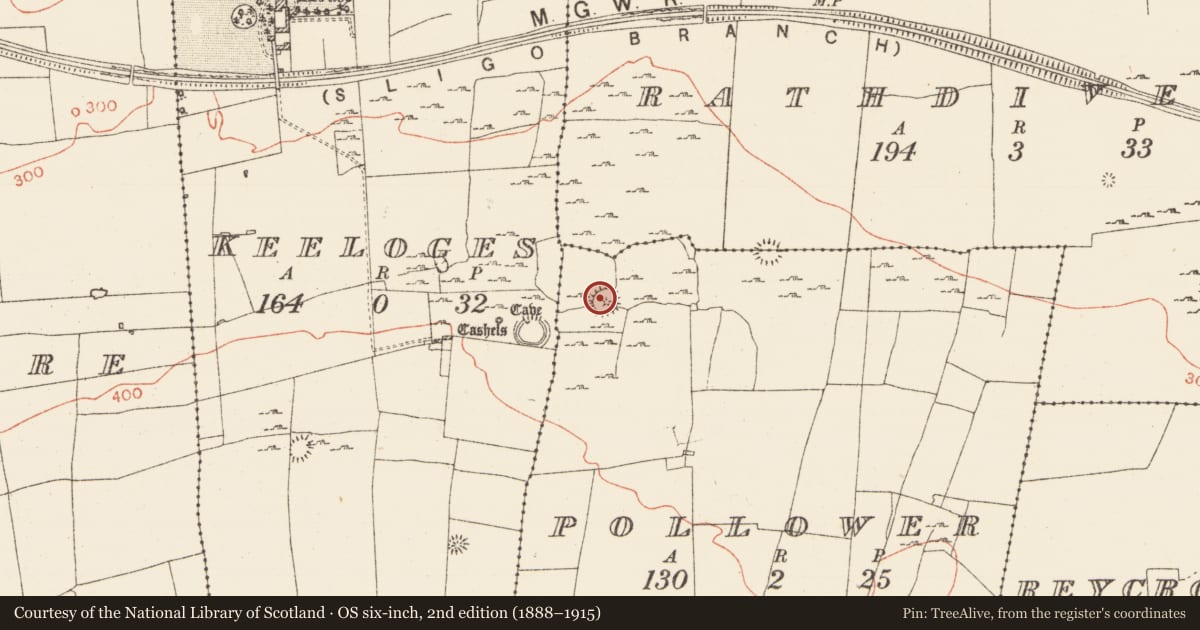 Ordnance Survey six-inch map, 2nd edition (1888–1915) covering the location of Cairn - unclassified, Pollower, County Roscommon, with a pin at the register's coordinates