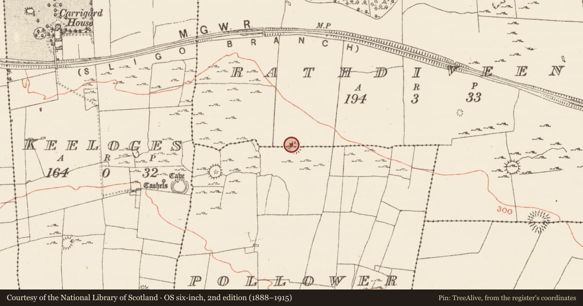 Ordnance Survey six-inch map, 2nd edition (1888–1915) covering the location of Ringfort - cashel, Rathdiveen, Pollower, County Roscommon, with a pin at the register's coordinates