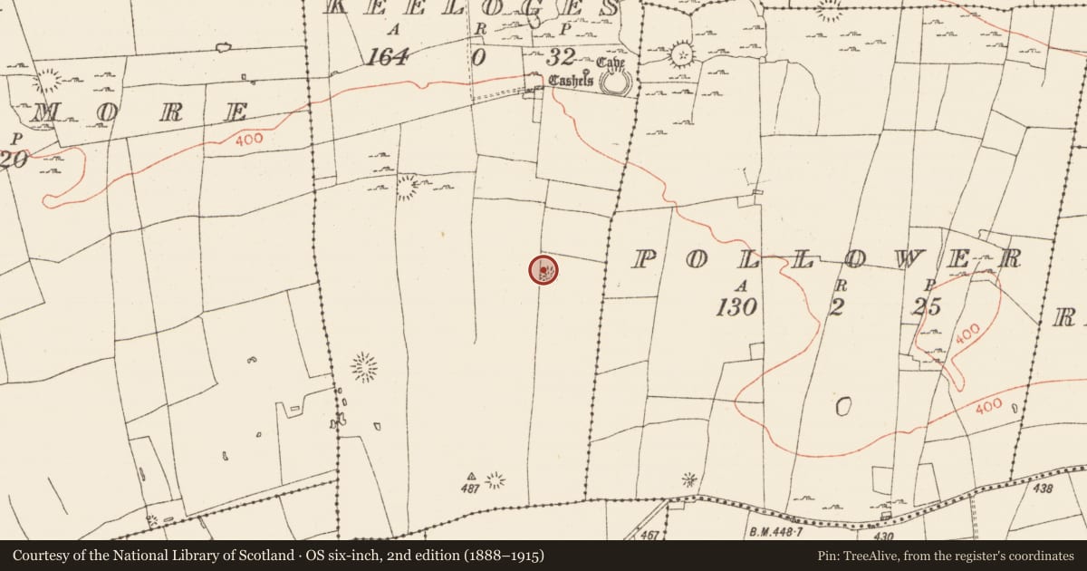 Ordnance Survey six-inch map, 2nd edition (1888–1915) covering the location of Enclosure, Keeloges, County Roscommon, with a pin at the register's coordinates
