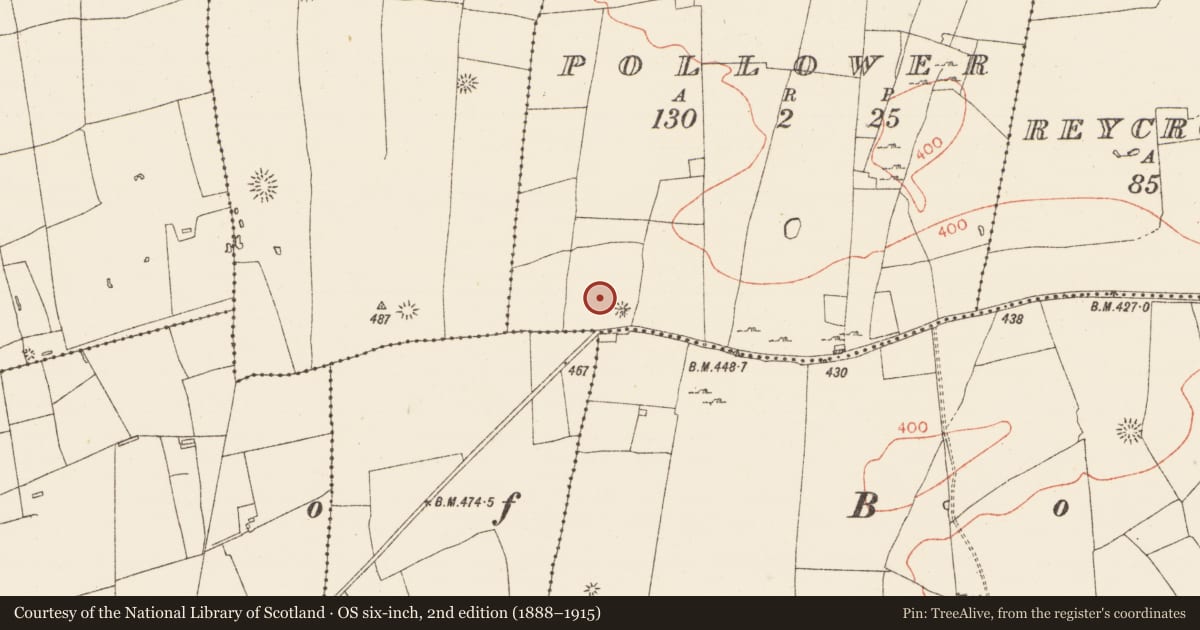 Ordnance Survey six-inch map, 2nd edition (1888–1915) covering the location of Barrow - mound barrow, Pollower, County Roscommon, with a pin at the register's coordinates