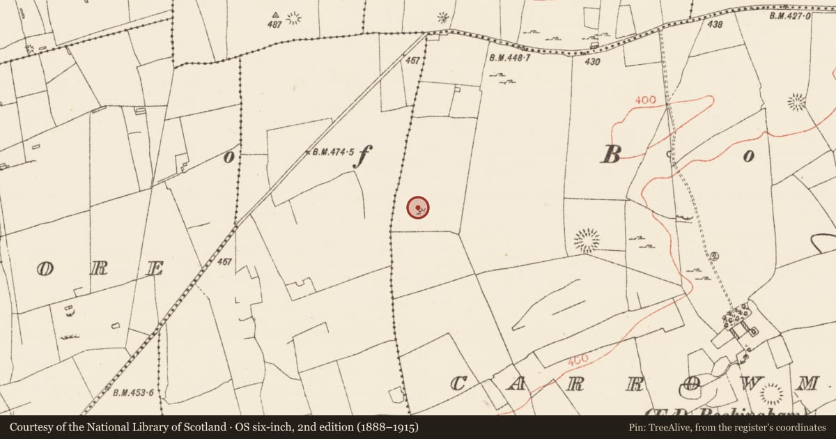 Ordnance Survey six-inch map, 2nd edition (1888–1915) covering the location of Barrow - mound barrow, Carrowmore, County Roscommon, with a pin at the register's coordinates