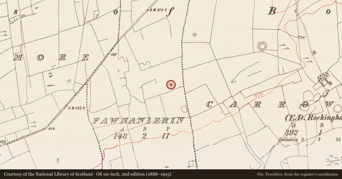 Ordnance Survey six-inch map, 2nd edition (1888–1915) covering the location of Ringfort - rath, Fawnanierin, County Roscommon, with a pin at the register's coordinates