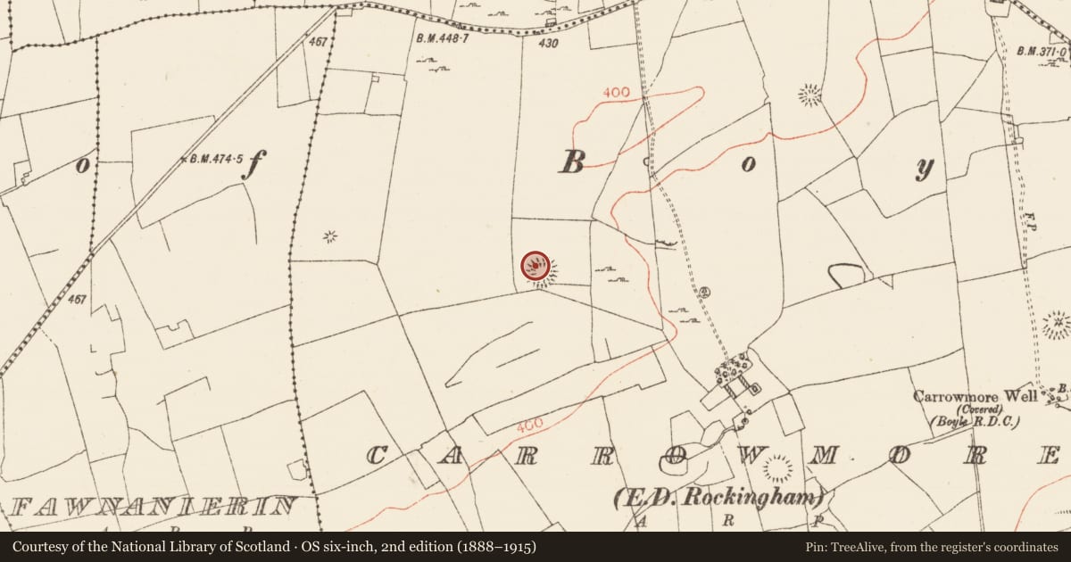 Ordnance Survey six-inch map, 2nd edition (1888–1915) covering the location of Ringfort - rath, Carrowmore, County Roscommon, with a pin at the register's coordinates