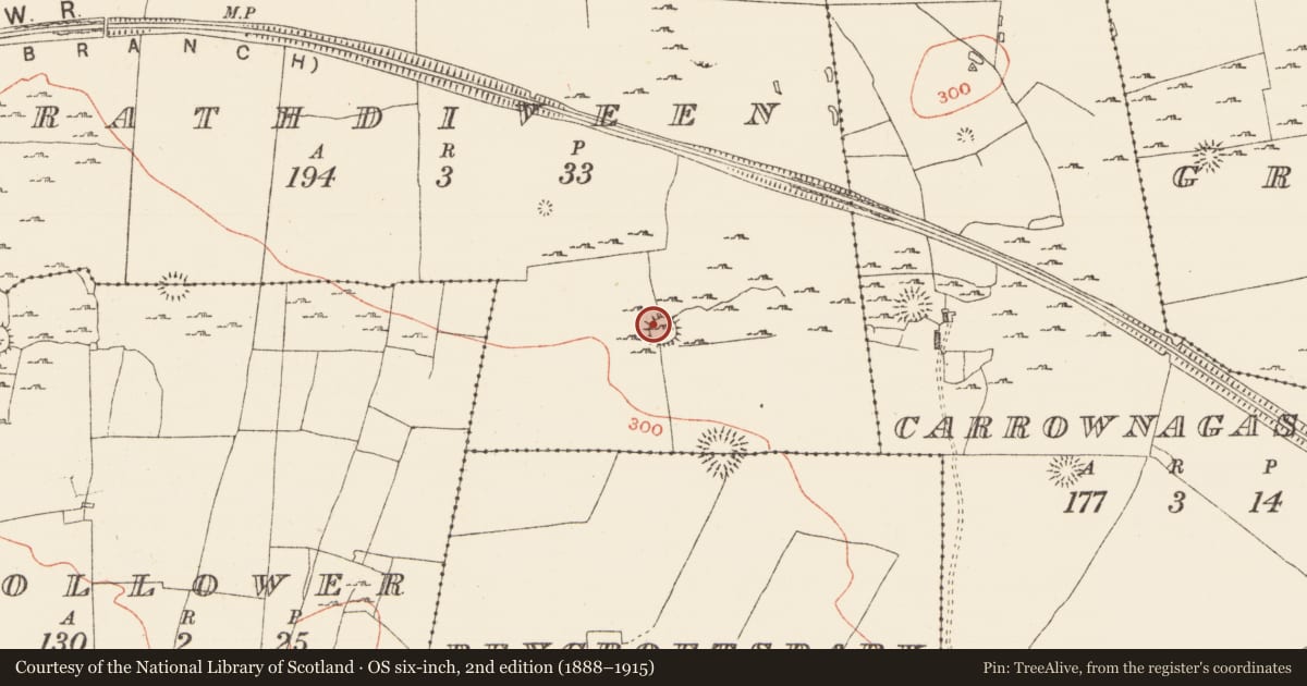 Ordnance Survey six-inch map, 2nd edition (1888–1915) covering the location of Ringfort - cashel, Rathdiveen, County Roscommon, with a pin at the register's coordinates