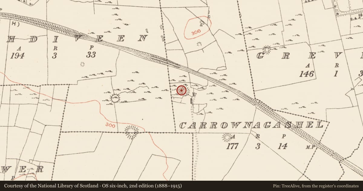 Ordnance Survey six-inch map, 2nd edition (1888–1915) covering the location of Ringfort - cashel, Carrownagashel, County Roscommon, with a pin at the register's coordinates