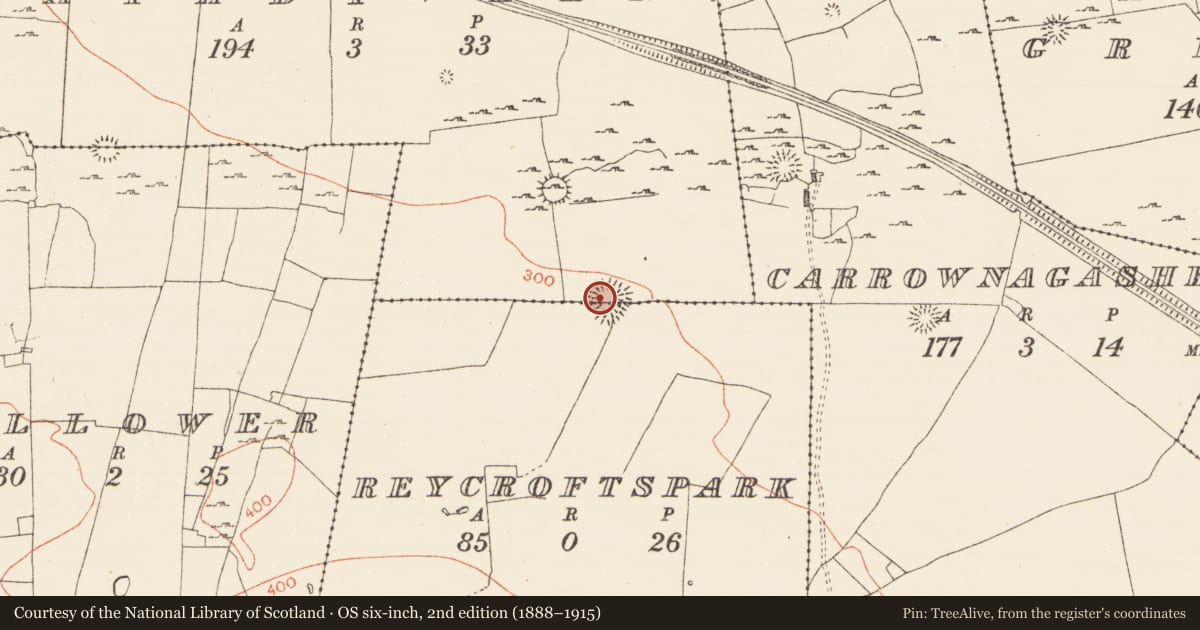 Ordnance Survey six-inch map, 2nd edition (1888–1915) covering the location of Ringfort - cashel, Rathdiveen, Reycroftspark, County Roscommon, with a pin at the register's coordinates