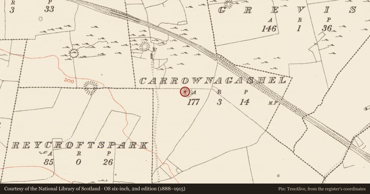 Ordnance Survey six-inch map, 2nd edition (1888–1915) covering the location of Ringfort - cashel, Carrownagashel, County Roscommon, with a pin at the register's coordinates