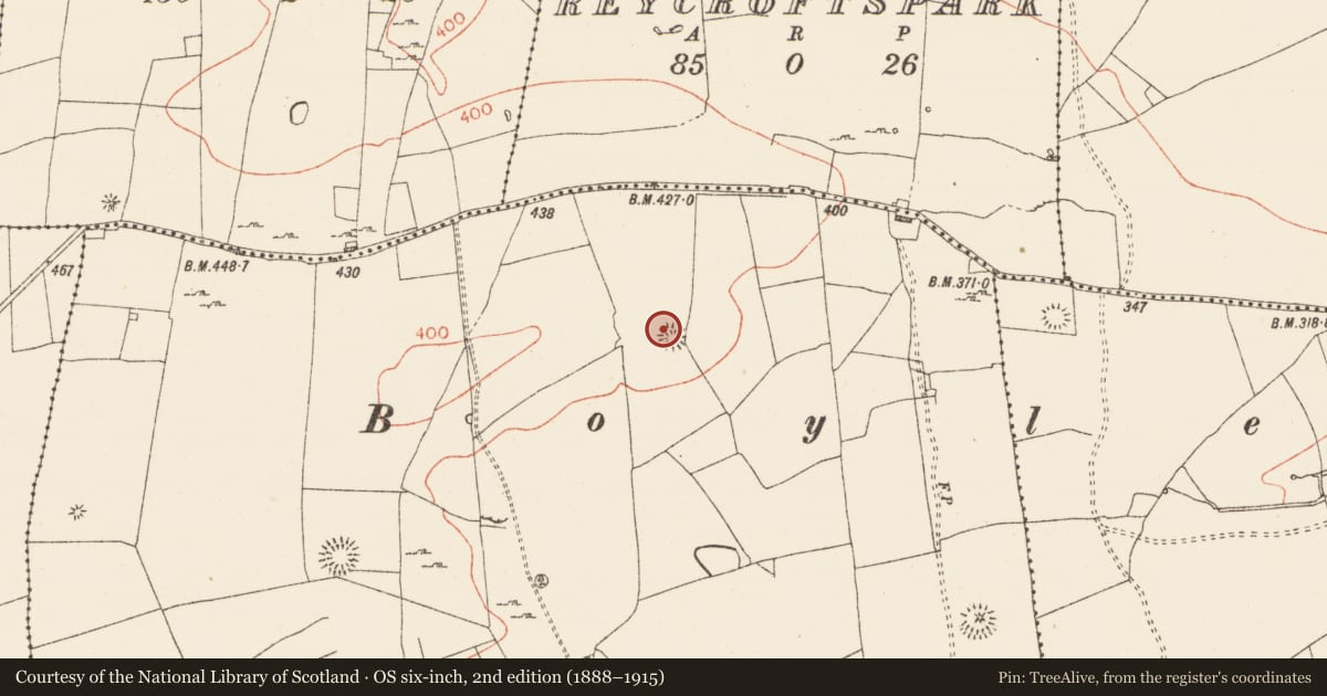 Ordnance Survey six-inch map, 2nd edition (1888–1915) covering the location of Ringfort - rath, Carrowmore, County Roscommon, with a pin at the register's coordinates