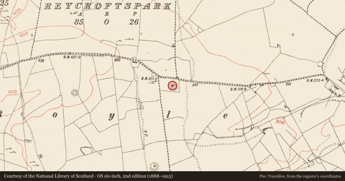 Ordnance Survey six-inch map, 2nd edition (1888–1915) covering the location of Ringfort - rath, Rusheen, County Roscommon, with a pin at the register's coordinates