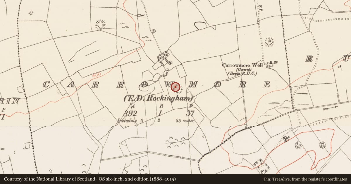 Ordnance Survey six-inch map, 2nd edition (1888–1915) covering the location of Ringfort - rath, Carrowmore, County Roscommon, with a pin at the register's coordinates