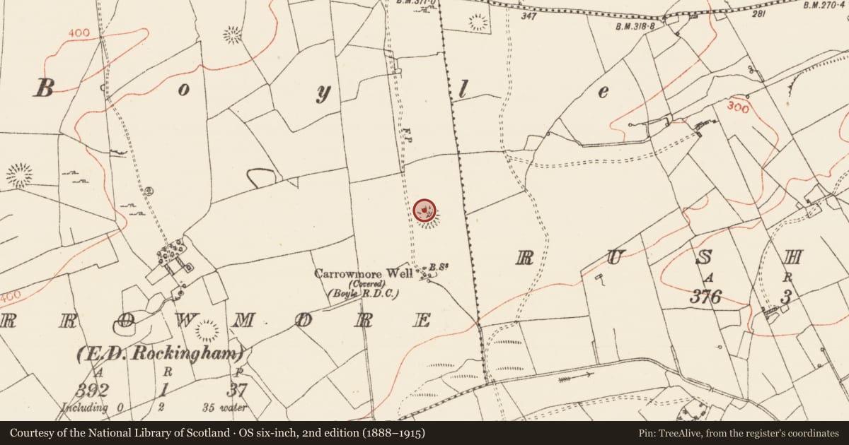 Ordnance Survey six-inch map, 2nd edition (1888–1915) covering the location of Barrow - ring-barrow, Carrowmore, County Roscommon, with a pin at the register's coordinates
