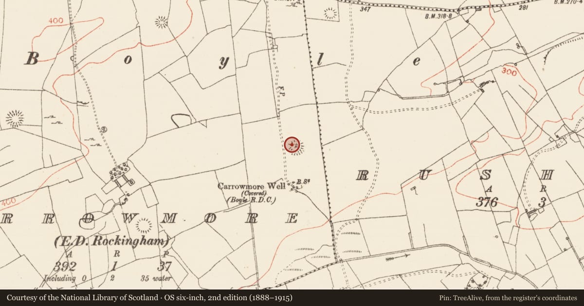 Ordnance Survey six-inch map, 2nd edition (1888–1915) covering the location of Enclosure, Carrowmore, County Roscommon, with a pin at the register's coordinates