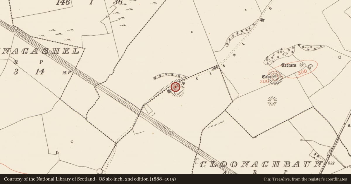 Ordnance Survey six-inch map, 2nd edition (1888–1915) covering the location of Ringfort - rath, Rusheen, County Roscommon, with a pin at the register's coordinates