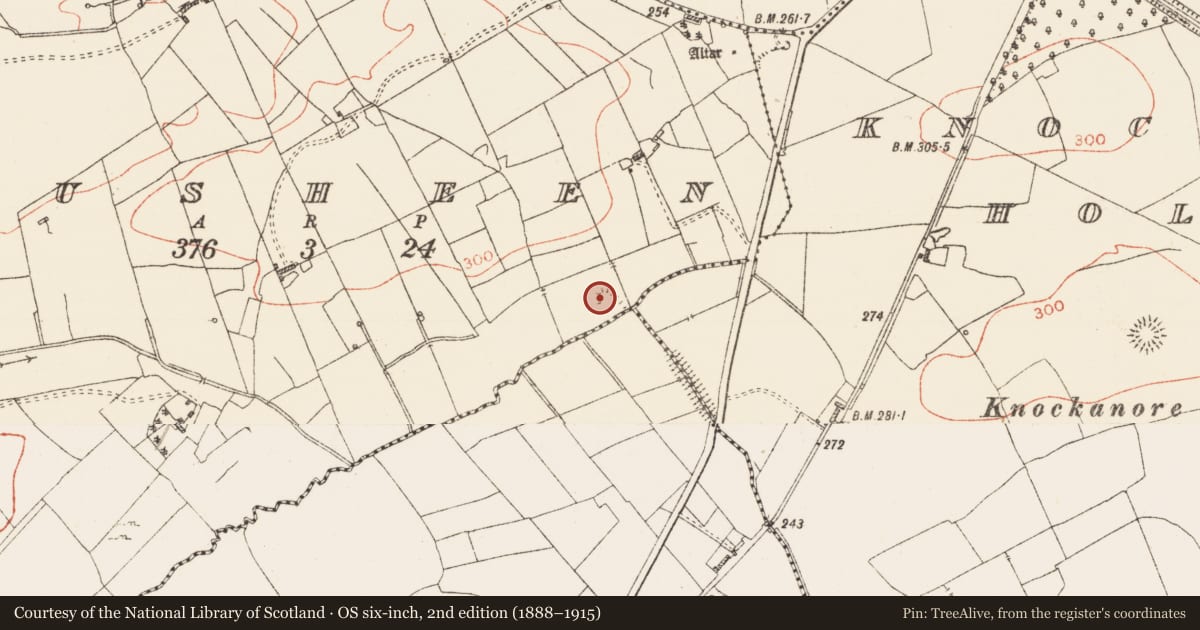 Ordnance Survey six-inch map, 2nd edition (1888–1915) covering the location of Ringfort - rath, Rusheen, County Roscommon, with a pin at the register's coordinates