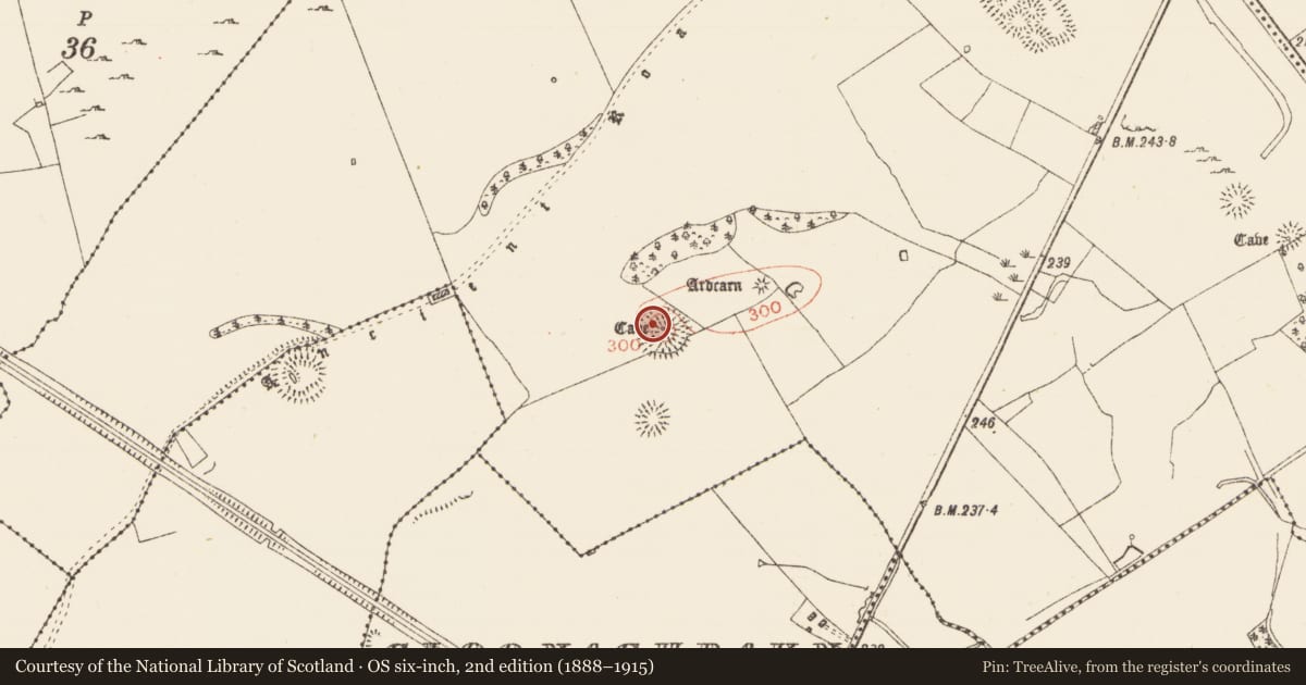 Ordnance Survey six-inch map, 2nd edition (1888–1915) covering the location of Ringfort - rath, Ardcarn, County Roscommon, with a pin at the register's coordinates