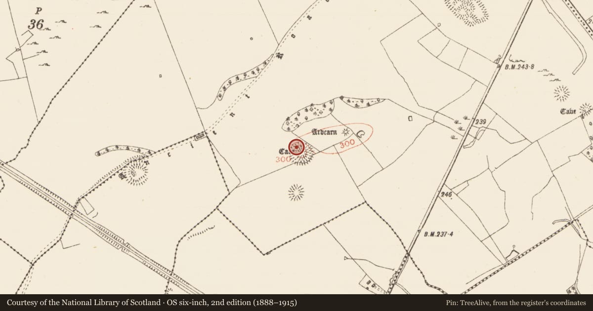 Ordnance Survey six-inch map, 2nd edition (1888–1915) covering the location of Souterrain, Ardcarn, County Roscommon, with a pin at the register's coordinates
