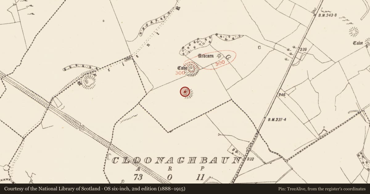 Ordnance Survey six-inch map, 2nd edition (1888–1915) covering the location of Ringfort - rath, Ardcarn, County Roscommon, with a pin at the register's coordinates