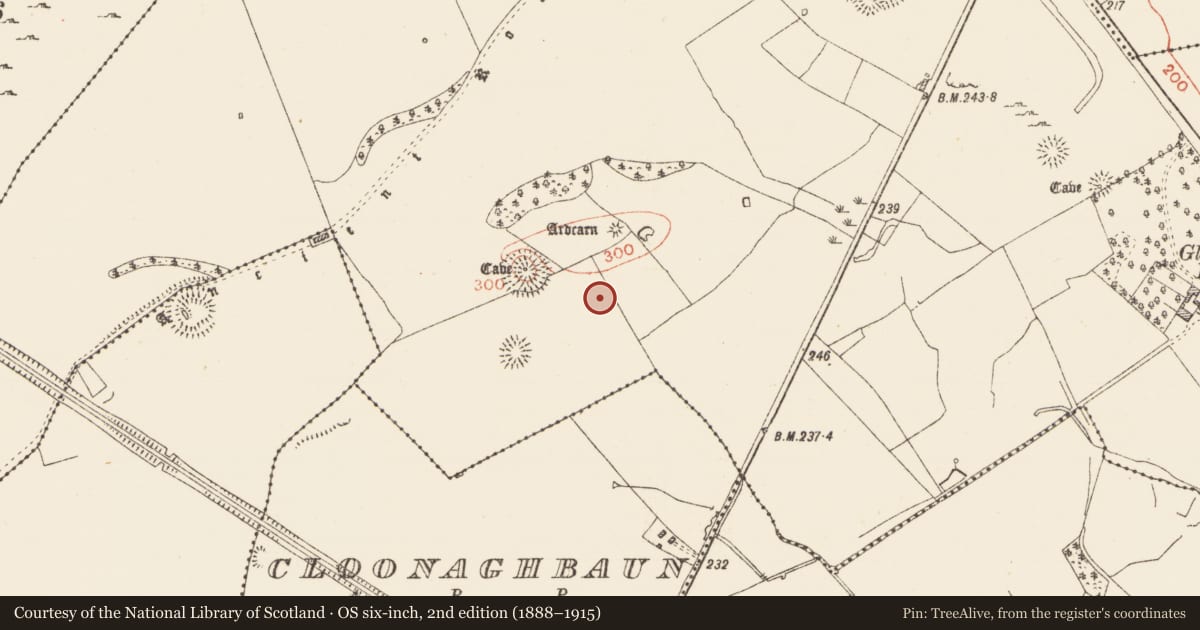 Ordnance Survey six-inch map, 2nd edition (1888–1915) covering the location of Earthwork, Ardcarn, County Roscommon, with a pin at the register's coordinates