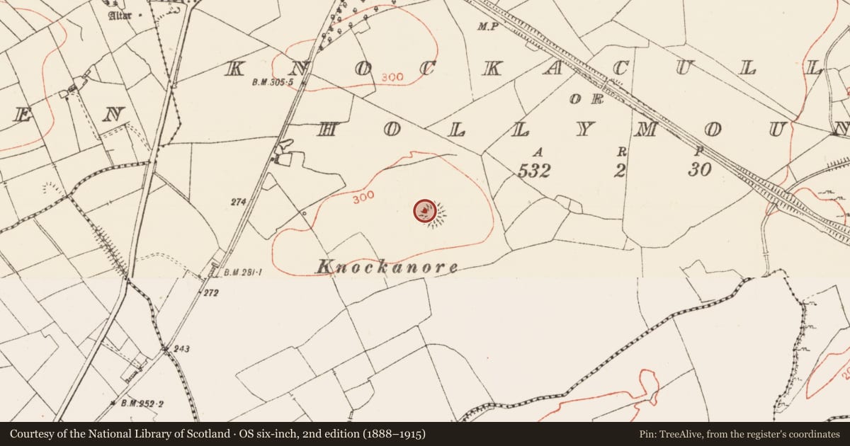 Ordnance Survey six-inch map, 2nd edition (1888–1915) covering the location of Ringfort - rath, Knockaculleen Or Hollymount, County Roscommon, with a pin at the register's coordinates