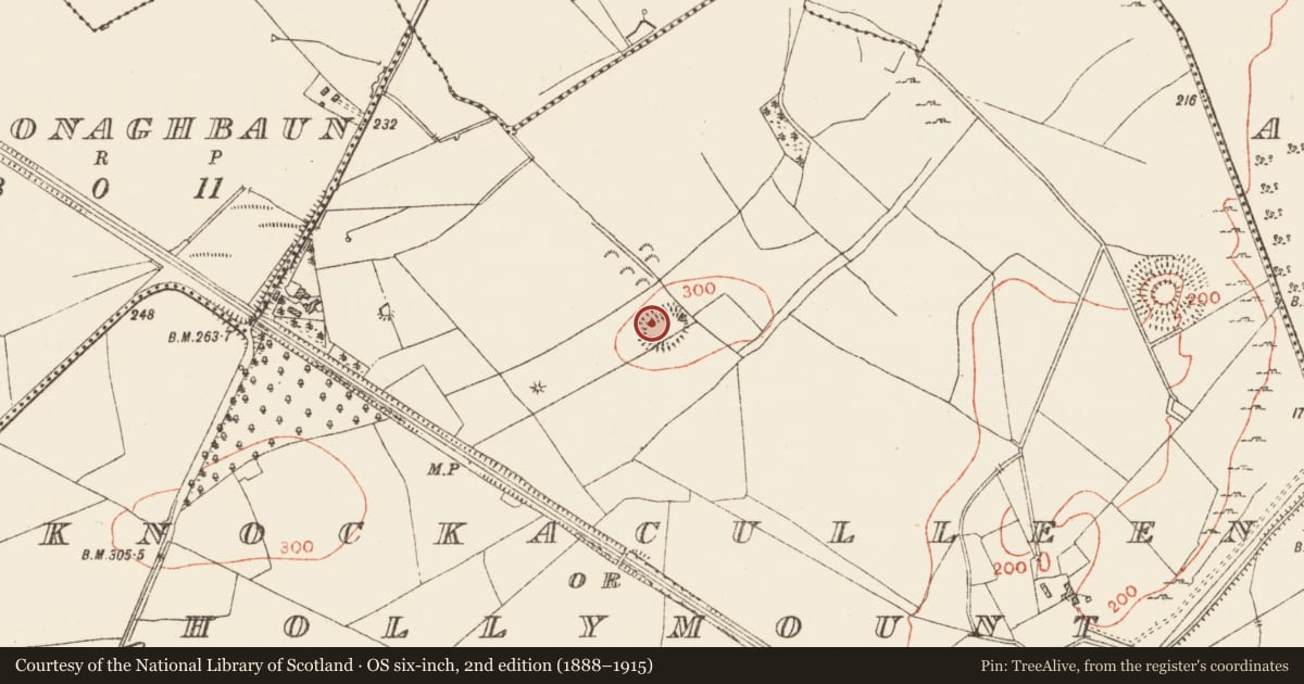 Ordnance Survey six-inch map, 2nd edition (1888–1915) covering the location of Ringfort - rath, Knockaculleen Or Hollymount, County Roscommon, with a pin at the register's coordinates