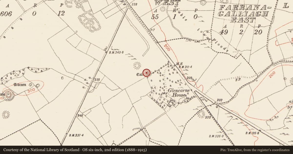 Ordnance Survey six-inch map, 2nd edition (1888–1915) covering the location of Ringfort - cashel, Ardcarn, County Roscommon, with a pin at the register's coordinates