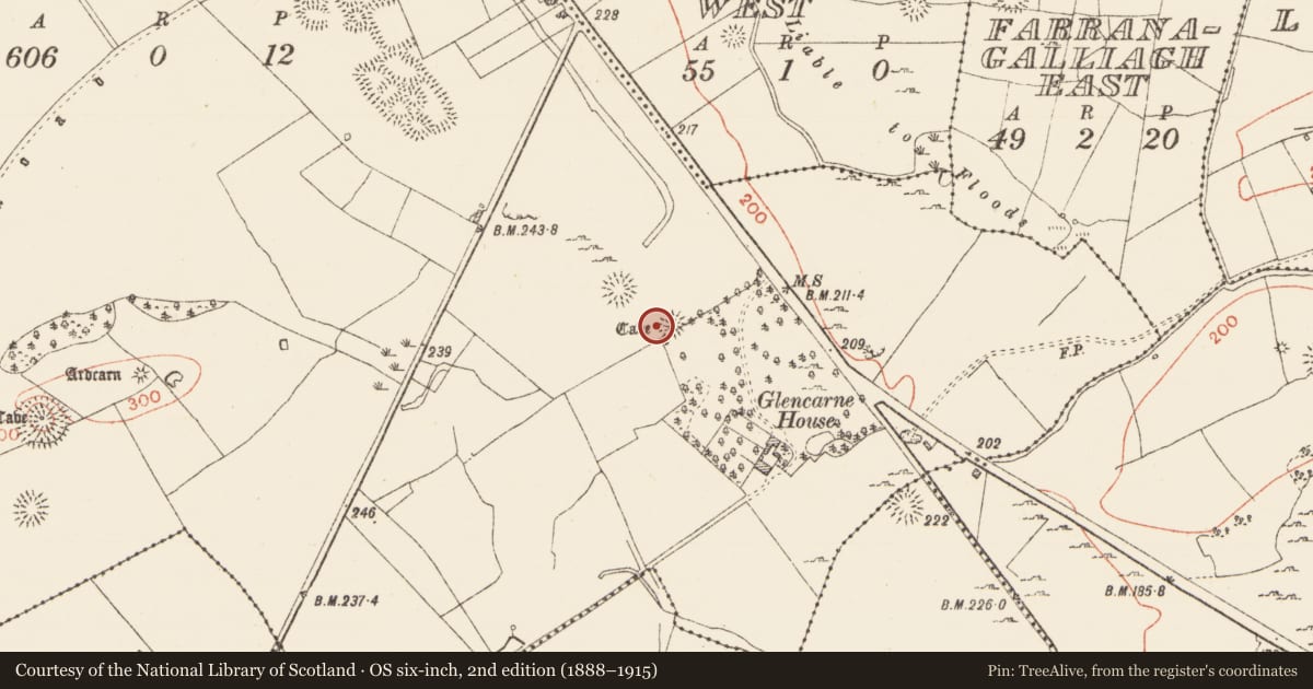 Ordnance Survey six-inch map, 2nd edition (1888–1915) covering the location of Souterrain, Ardcarn, County Roscommon, with a pin at the register's coordinates
