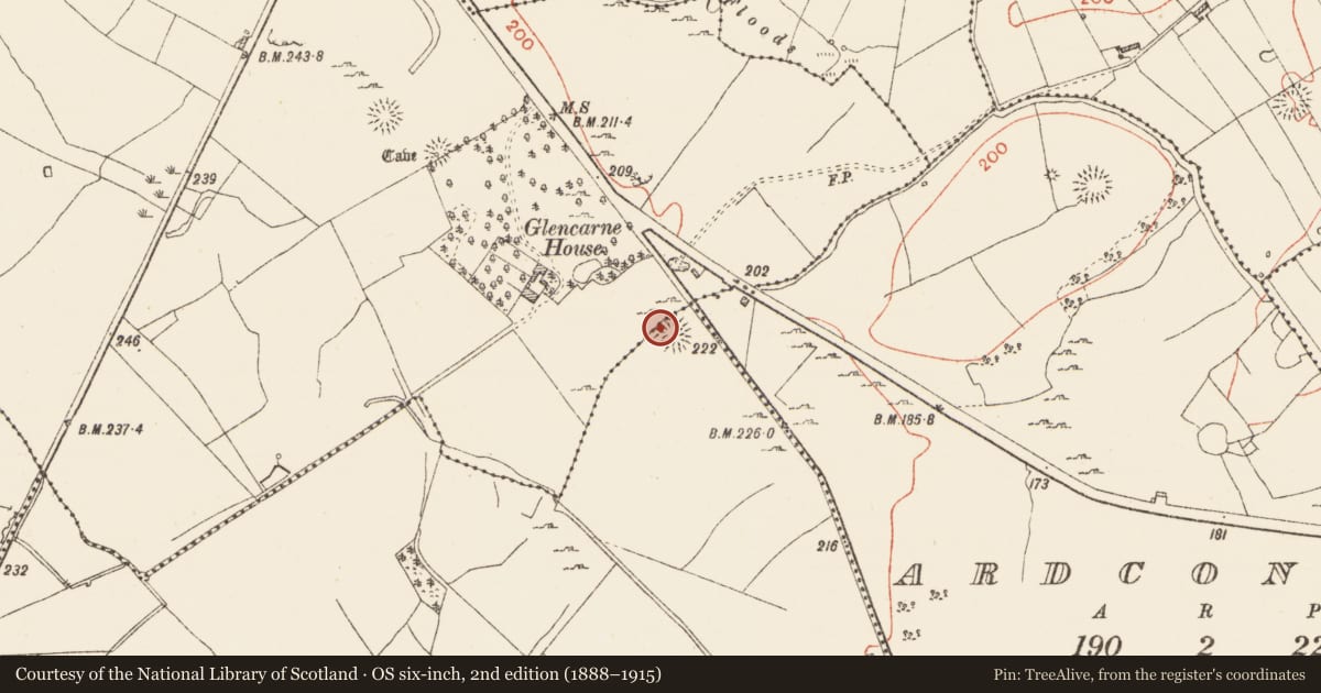 Ordnance Survey six-inch map, 2nd edition (1888–1915) covering the location of Ringfort - cashel, Knockaculleen Or Hollymount, County Roscommon, with a pin at the register's coordinates