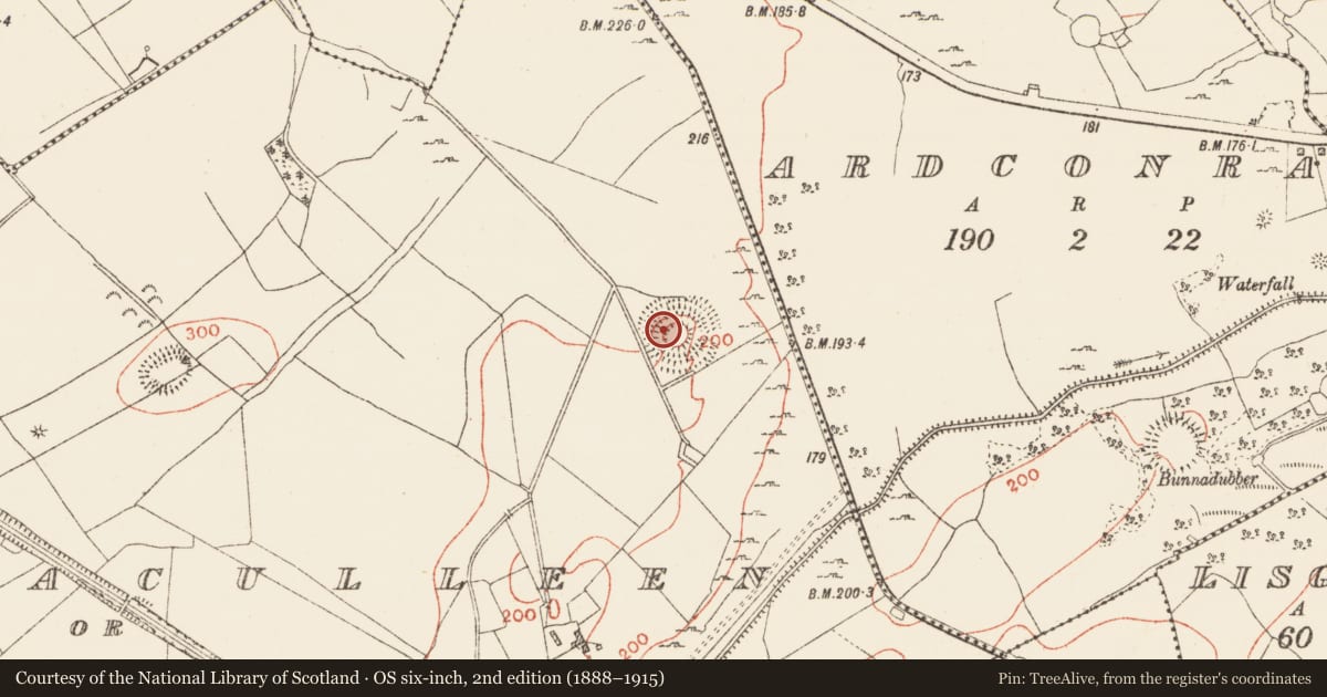 Ordnance Survey six-inch map, 2nd edition (1888–1915) covering the location of Barrow - ring-barrow, Knockaculleen Or Hollymount, County Roscommon, with a pin at the register's coordinates