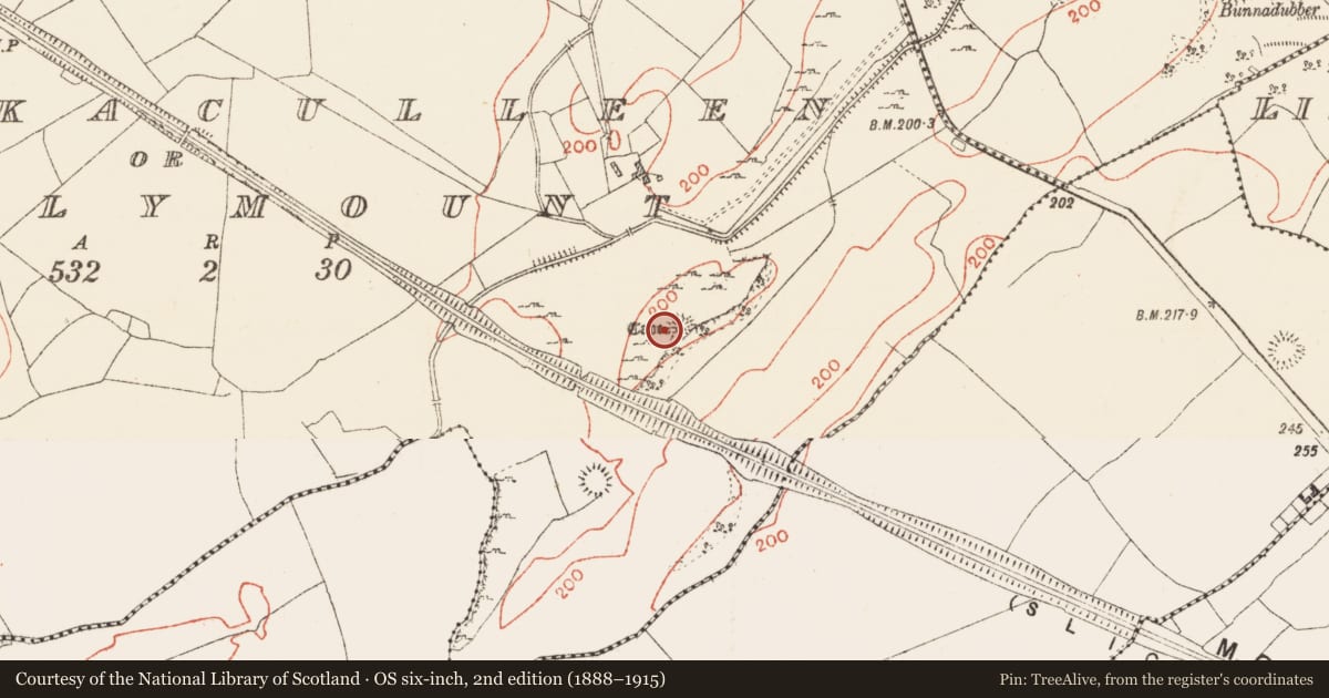 Ordnance Survey six-inch map, 2nd edition (1888–1915) covering the location of Souterrain, Knockaculleen Or Hollymount, County Roscommon, with a pin at the register's coordinates