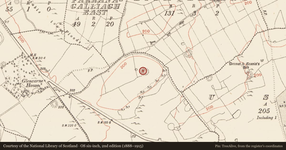 Ordnance Survey six-inch map, 2nd edition (1888–1915) covering the location of Ringfort - rath, Ardconra, County Roscommon, with a pin at the register's coordinates