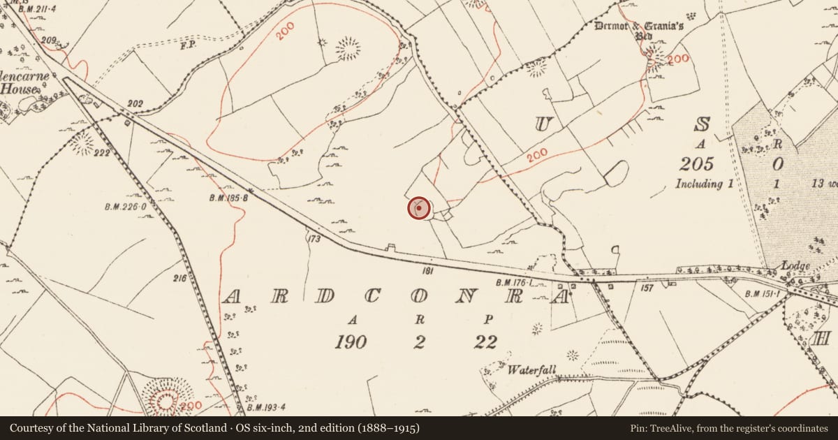 Ordnance Survey six-inch map, 2nd edition (1888–1915) covering the location of Ringfort - cashel, Ardconra, County Roscommon, with a pin at the register's coordinates