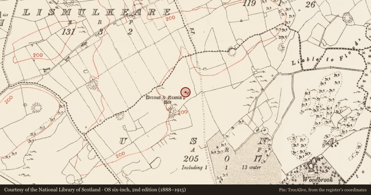 Ordnance Survey six-inch map, 2nd edition (1888–1915) covering the location of Megalithic tomb - wedge tomb, Usna, County Roscommon, with a pin at the register's coordinates