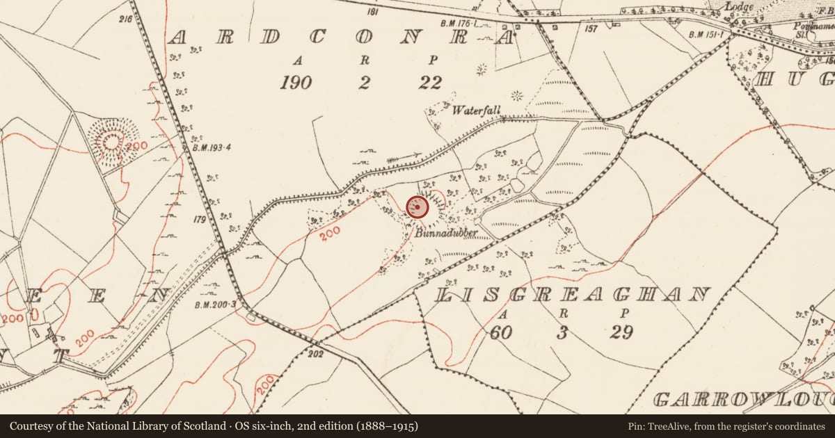 Ordnance Survey six-inch map, 2nd edition (1888–1915) covering the location of Ringfort - cashel, Ardconra, County Roscommon, with a pin at the register's coordinates