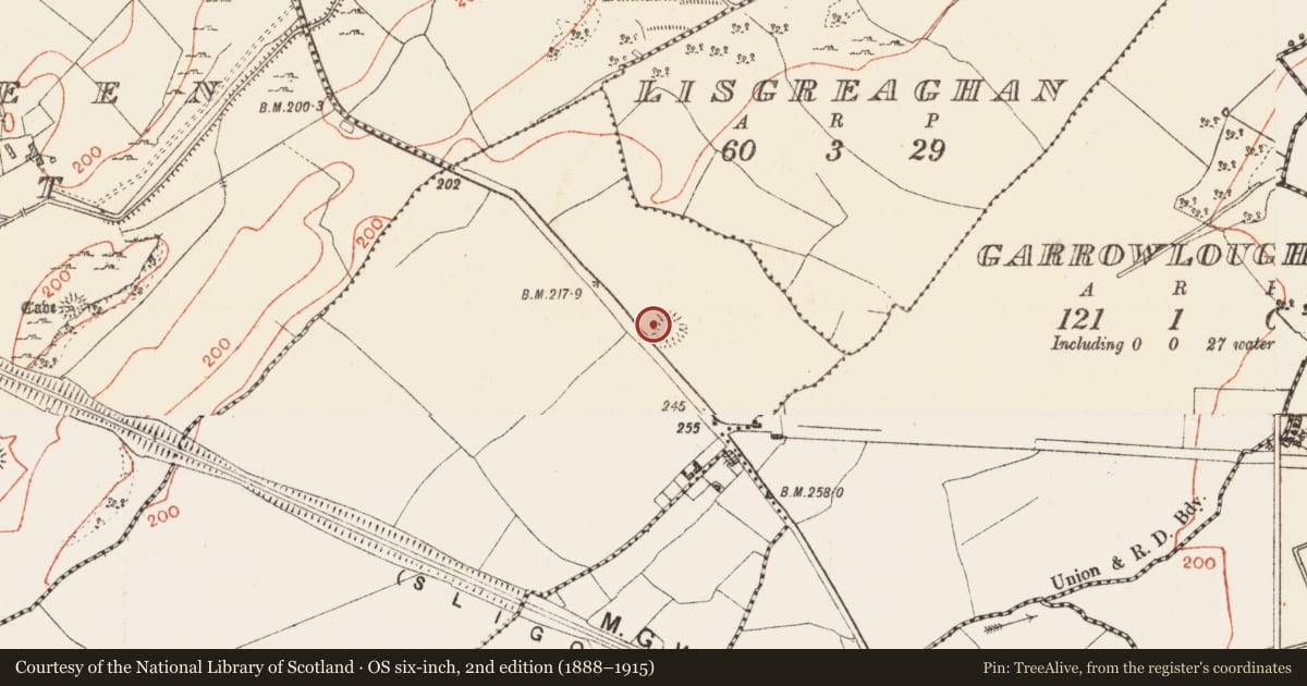 Ordnance Survey six-inch map, 2nd edition (1888–1915) covering the location of Ringfort - rath, Rinn, County Roscommon, with a pin at the register's coordinates