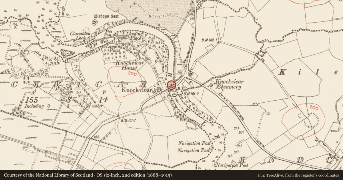 Ordnance Survey six-inch map, 2nd edition (1888–1915) covering the location of Bridge, Kilteasheen, Knockvicar, County Roscommon, with a pin at the register's coordinates