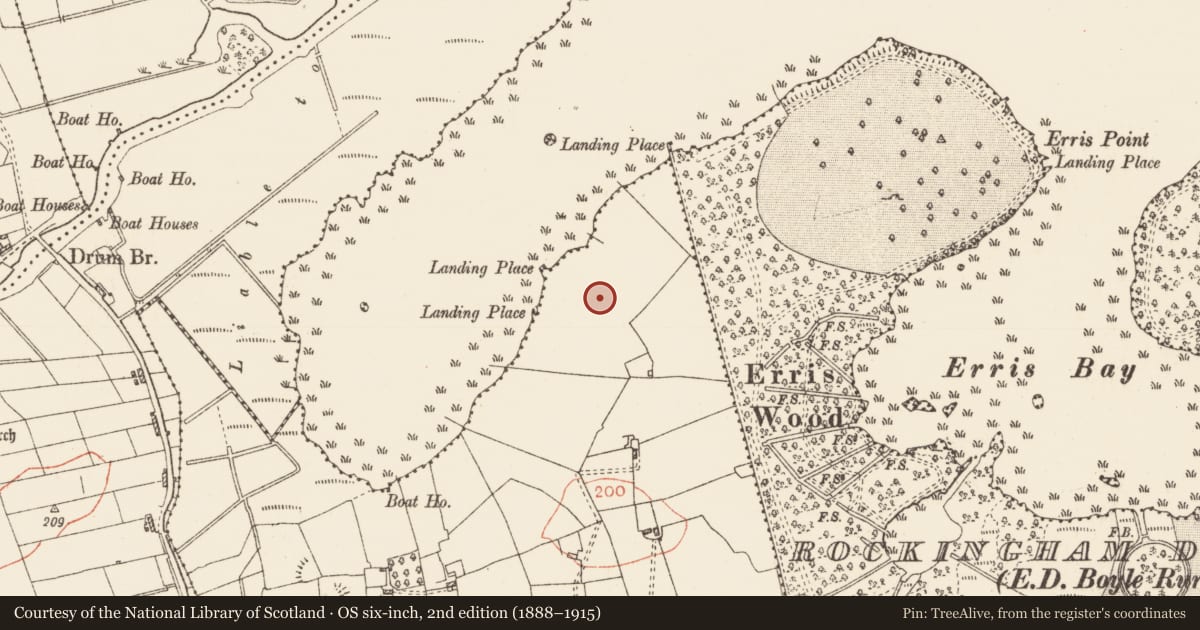 Ordnance Survey six-inch map, 2nd edition (1888–1915) covering the location of Field system, Erris, County Roscommon, with a pin at the register's coordinates