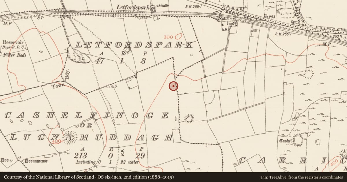 Ordnance Survey six-inch map, 2nd edition (1888–1915) covering the location of Road - road/trackway, Cashelfinoge Or Lugnamuddagh, Letfordspark, County Roscommon, with a pin at the register's coordinates