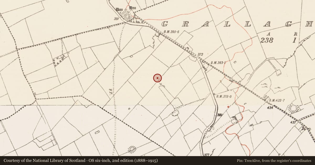 Ordnance Survey six-inch map, 2nd edition (1888–1915) covering the location of Road - road/trackway, Knockarush, County Roscommon, with a pin at the register's coordinates