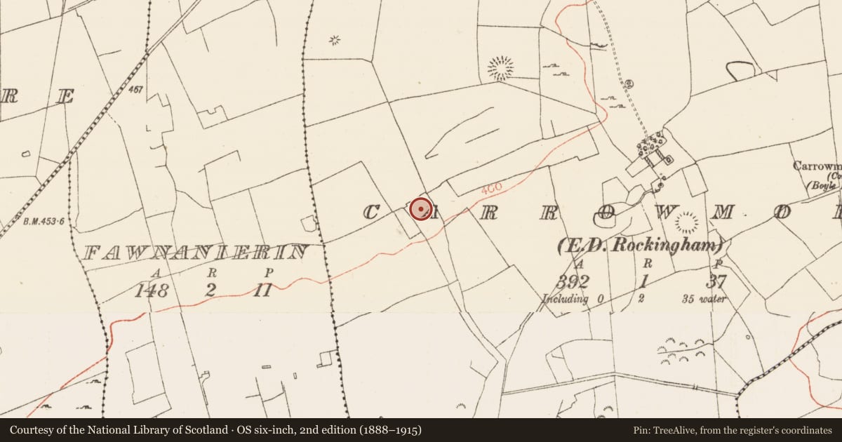 Ordnance Survey six-inch map, 2nd edition (1888–1915) covering the location of Ringfort - rath, Carrowmore, County Roscommon, with a pin at the register's coordinates