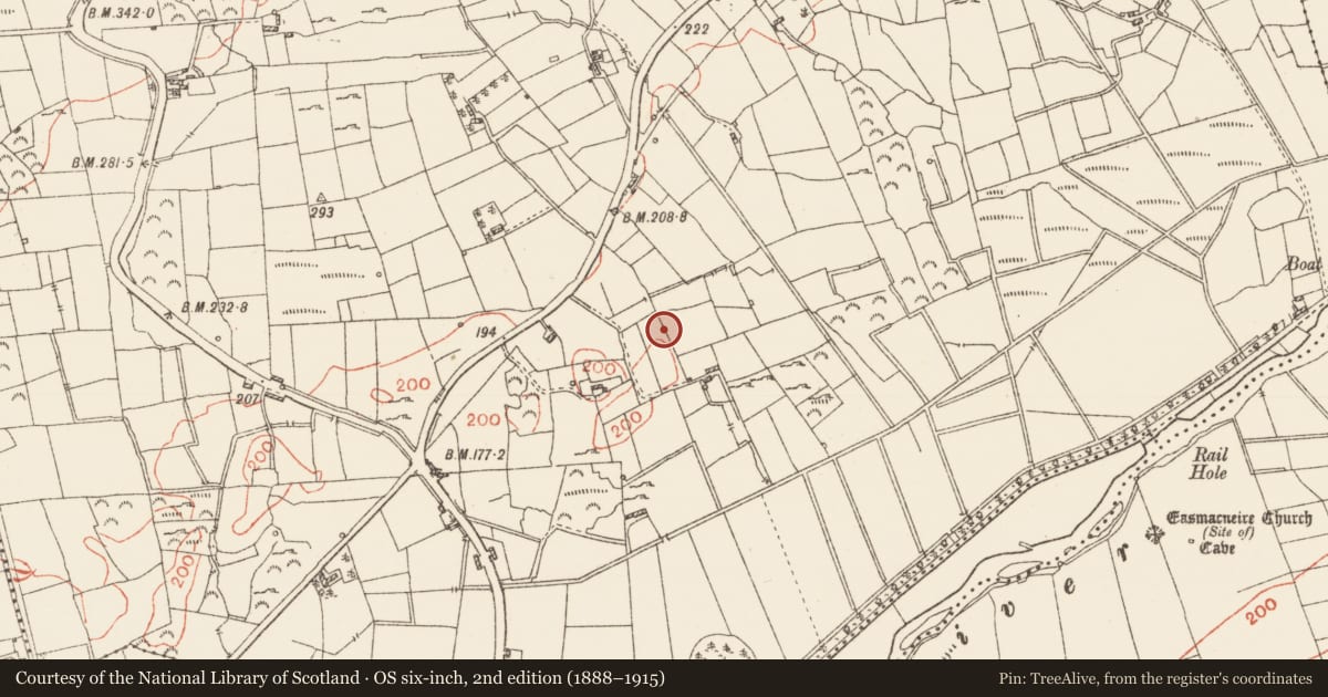 Ordnance Survey six-inch map, 2nd edition (1888–1915) covering the location of Mass-rock (present location), Deerpark, County Roscommon, with a pin at the register's coordinates