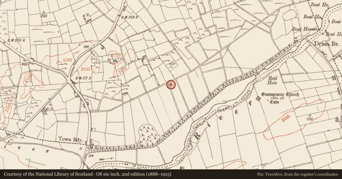 Ordnance Survey six-inch map, 2nd edition (1888–1915) covering the location of Fulacht fia, Deerpark, County Roscommon, with a pin at the register's coordinates