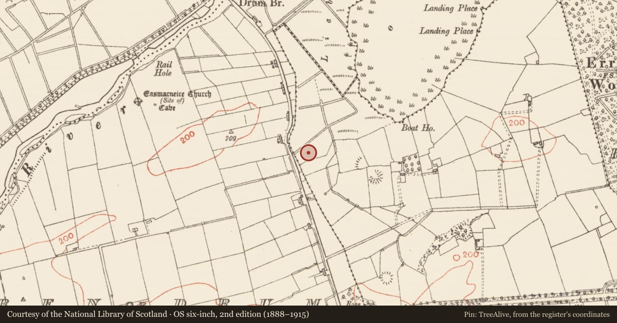 Ordnance Survey six-inch map, 2nd edition (1888–1915) covering the location of Road - unclassified togher, Erris, County Roscommon, with a pin at the register's coordinates