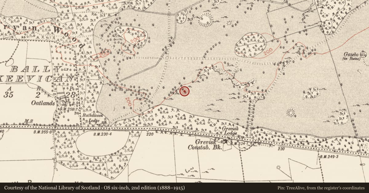 Ordnance Survey six-inch map, 2nd edition (1888–1915) covering the location of House - indeterminate date, Rockingham Demesne, County Roscommon, with a pin at the register's coordinates