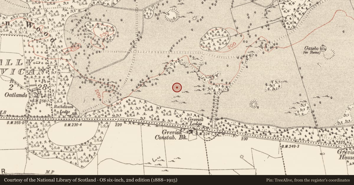 Ordnance Survey six-inch map, 2nd edition (1888–1915) covering the location of Field system, Rockingham Demesne, County Roscommon, with a pin at the register's coordinates