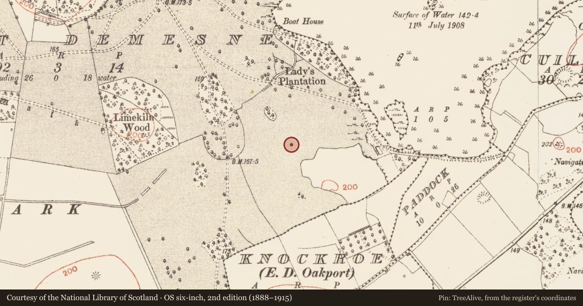 Ordnance Survey six-inch map, 2nd edition (1888–1915) covering the location of Barrow - ring-barrow, Oakport Demesne, County Roscommon, with a pin at the register's coordinates
