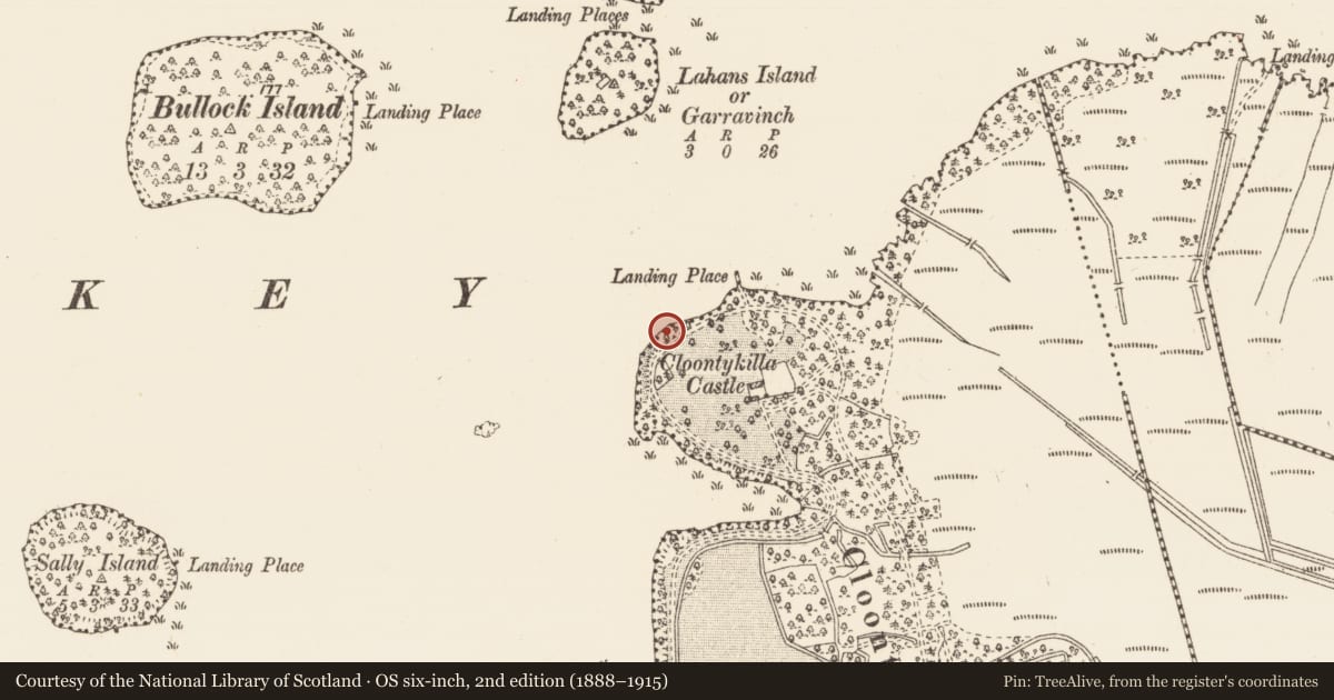 Ordnance Survey six-inch map, 2nd edition (1888–1915) covering the location of Standing stone, Rockingham Demesne, County Roscommon, with a pin at the register's coordinates