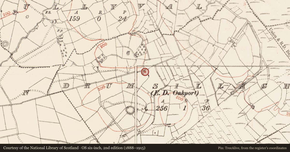 Ordnance Survey six-inch map, 2nd edition (1888–1915) covering the location of Ringfort - rath, Drumsillagh, County Roscommon, with a pin at the register's coordinates